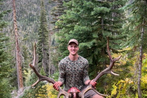 Stuart Hoegh – Guide